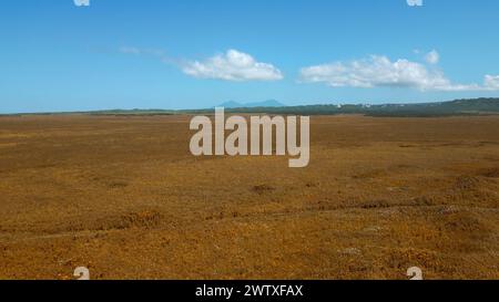 Drone volant au-dessus de prairie jaune pendant la journée d'été. Agrafe. Vallée sans fin sur un fond de ciel nuageux bleu. Banque D'Images