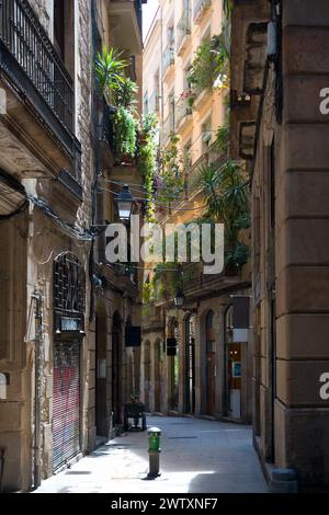 Street dans le quartier gothique, Barcelone Banque D'Images