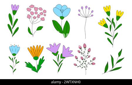 Ensemble de différentes fleurs et branches, illustration vectorielle de style doodle Illustration de Vecteur