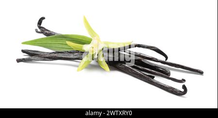 Gousses de vanille, belle fleur et feuille verte isolées sur blanc Banque D'Images