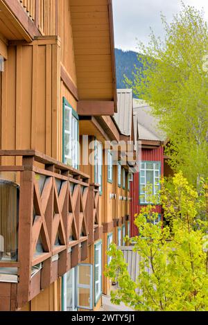 Fenêtres et toits de maisons de ville résidentielles avec des arbres poussant sur le côté Banque D'Images