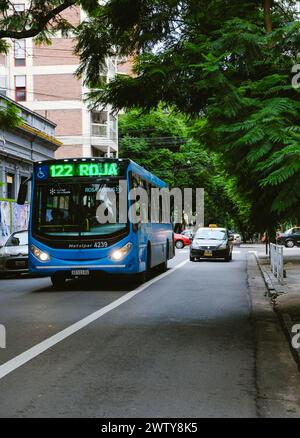 Rosario City bus et Un taxi fonctionnant normalement après la récente vague de violence et de meurtres dus à des substances illégales. Guerre de la drogue à Rosario Banque D'Images