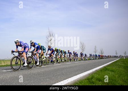 De panne, Belgique. 20 mars 2024. Le peloton de coureurs en action lors de la course cycliste d'élite masculine d'une journée 'Classic Brugge-de panne', 198, 9 km de Bruges à de panne, mercredi 20 mars 2024. BELGA PHOTO LAURIE DIEFFEMBACQ crédit : Belga News Agency/Alamy Live News Banque D'Images