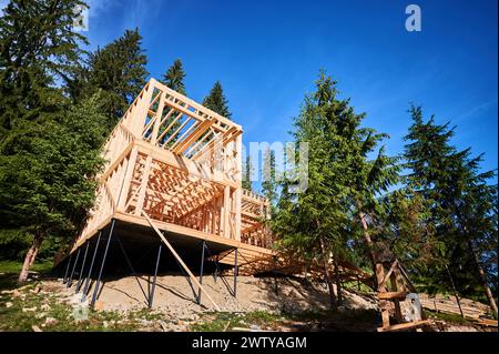 Bâtiment résidentiel avec ossature en bois en cours de construction près d'une forêt. Début de la nouvelle construction de chalet confortable. Idée de construction écologique, conception architecturale contemporaine Banque D'Images
