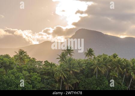 Paysage incroyable d'une forêt tropicale avec des palmiers et des montagnes en arrière-plan pendant le coucher du soleil. Espace de copie. Banque D'Images