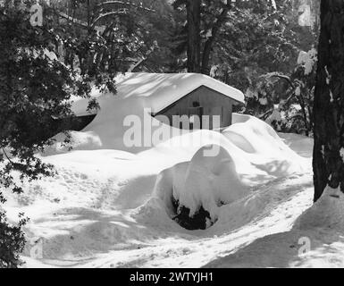 Cabane dans les bois photographié après une forte chute de neige. Banque D'Images