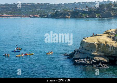 Kayakistes observant des lions de mer à la Jolla Cove, San Diego, Californie Banque D'Images