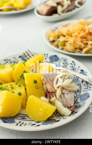 Délicieux dîners de poisson copieux, pommes de terre bouillies avec hareng mariné, choucroute avec oignons et huile d'olive Banque D'Images