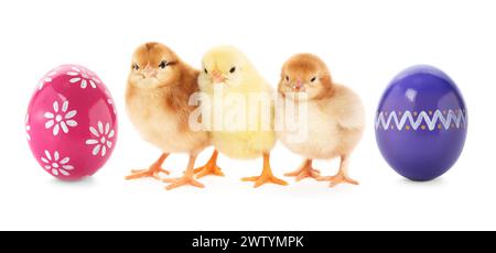 Joyeuses Pâques. Poussins mignons et oeufs peints isolés sur blanc Banque D'Images