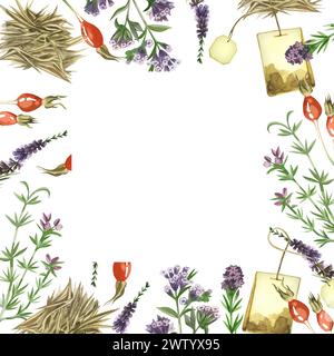 Illustration aquarelle. Cadre carré fait de thé, herbes de prairie et fleurs, origan, rose musquée, feuilles de thé, sachet de thé, toutes peintes à la main à l'aquarelle. Banque D'Images