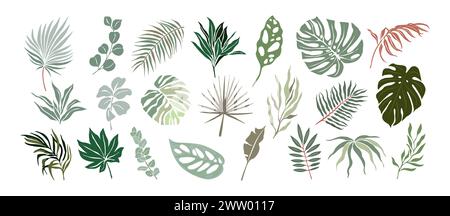 Ensemble de différents dessins vectoriels de feuilles tropicales. Illustration de Vecteur
