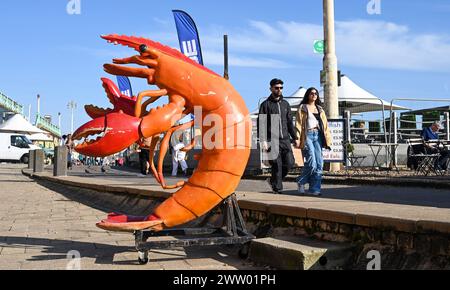 Brighton UK 20 mars 2024 - les visiteurs profitent d'une chaude journée ensoleillée sur le front de mer et la plage de Brighton, car les températures devraient atteindre 17 degrés dans certaines parties du Sud-est aujourd'hui : Credit Simon Dack / Alamy Live News Banque D'Images