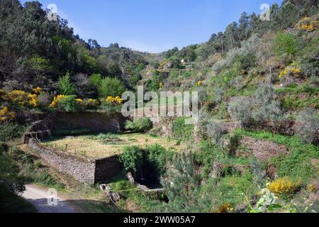 Portugal, District de Coimbra, Coiços (près de Góis), 'le hangar à chèvres' (près de Colmeal), Cascade et champs en terrasses Banque D'Images