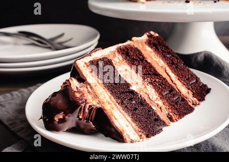 Tranche de gâteau au chocolat aux noisettes garni de ganache au chocolat et de bonbons aux noisettes : gâteau en tranches de chocolat sur une assiette à dessert avec une fourchette Banque D'Images