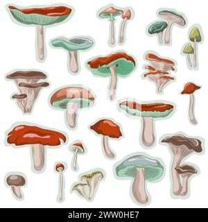 Collection d'illustration vectorielle de champignons comestibles colorés dessinée à la main Illustration de Vecteur