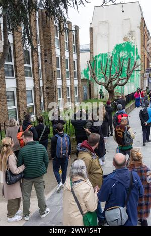 Londres, Royaume-Uni. 19 mars 2024. Les membres du public admirent et prennent des photos de nouvelles œuvres d'art du Street artiste de renommée mondiale Banksy qui étaient apparues la veille sur le côté d'un immeuble résidentiel derrière un arbre situé dans le jardin d'un bloc de logements sociaux à Finsbury Park. L'œuvre d'art, revendiquée par l'artiste de rue, prend la forme d'une peinture verte pulvérisée sur un mur derrière un cerisier pollardé de manière à apparaître comme du feuillage lorsqu'on la regarde de face, avec un pochoir d'une femme tenant une laveuse haute pression. La nuance de peinture verte utilisée semble correspondre à celle utilisée par Islington Banque D'Images