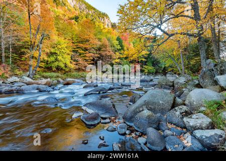 Les feuilles d'automne bordent les rives de la West Branch Ausable River, Essex Co., Wilmington, NY Banque D'Images