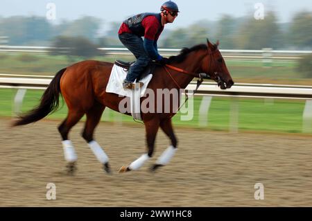 Un jeune jockey prend un cheval de course pur-sang pour son entraînement tôt le matin et des exercices sur une piste de course dans le Kentucky Banque D'Images