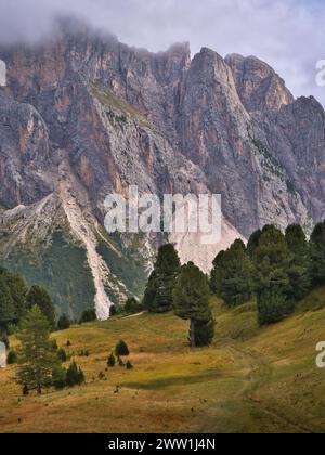 Majestueuse montagne rocheuse s'élevant au-dessus d'une prairie alpine parsemée d'arbres dans les Dolomites, en Italie, avec des falaises calcaires abruptes Banque D'Images