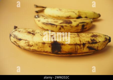 comparer une banane pourrie avec une banane mûre sur fond blanc Banque D'Images