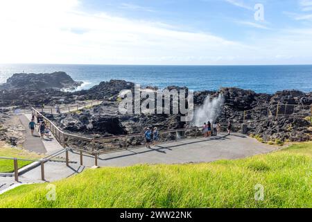 Kiama Blowhole, Blowhole point, Kiama, Nouvelle-Galles du Sud, Australie Banque D'Images