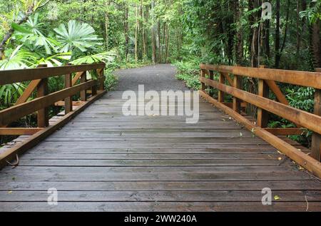 Pont en bois aux jardins botaniques de Tondoon à Gladstone, Queensland, Australie Banque D'Images