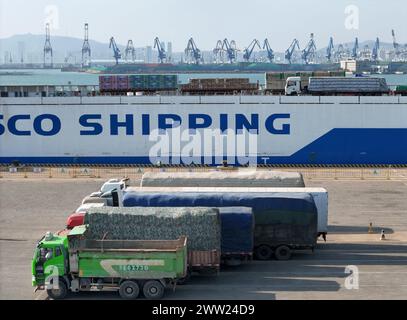 YANTAI, CHINE - 19 MARS 2024 - des camions sont entraînés dans un rouleau de chargement pour l'opération de déchargement à Yantai, province du Shandong, Chine, 19 mars 2024. Banque D'Images