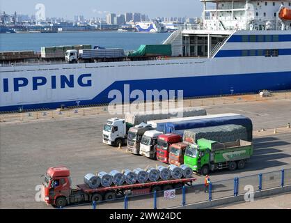 YANTAI, CHINE - 19 MARS 2024 - des camions sont entraînés dans un rouleau de chargement pour l'opération de déchargement à Yantai, province du Shandong, Chine, 19 mars 2024. Banque D'Images