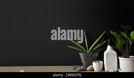 Composition des plantes sanseveria et des plantes succulentes en pots sur table en bois. Structure de croissance végétale unique. Préparation pour pulvériser de l'eau sur les plantes Banque D'Images