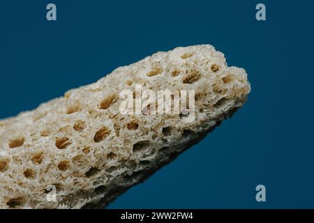 Gros plan texture corail sur la plage, photographie macro, concept environnemental, Thaïlande. Banque D'Images