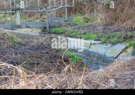 Chesham, Royaume-Uni. 19 février 2024. Thames Water modernise les installations de traitement des eaux usées (photo) à Chesham, Buckinghamshire, cependant, pendant ce temps, ils continuent à déverser les eaux usées dans le River Chess Chalk Stream voisin. La rivière des échecs abrite une variété d'animaux sauvages importants, tels que des campagnols d'eau, des truites brunes et des foules d'eau de ruisseau. Crédit : Maureen McLean/Alamy Banque D'Images