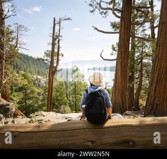 Femme assise sur un grand tronc d'arbre et profitant de la vue à Lower Eagle Falls. Emerald Bay. Lac Tahoe. Californie. Banque D'Images