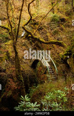 Pont piétonnier en métal voûté sur la rivière Afon Mynach dans Wales.UK Banque D'Images