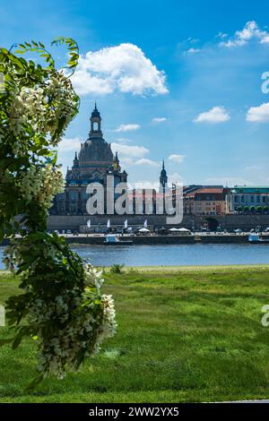 Église Frauenkirche et terrasse de Brühl vues des rives opposées de l'Elbe, Dresde, Saxe, Allemagne. Banque D'Images