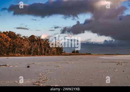 Le soleil couchant jette une teinte dorée sur les salines, mettant en évidence la limite lointaine des arbres. Banque D'Images