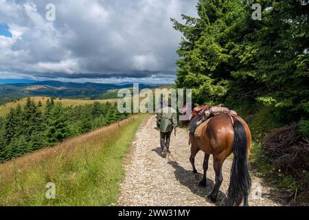 Équitation dans le paysage des carpates Banque D'Images