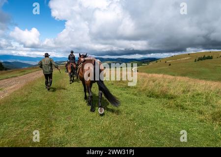 Équitation dans le paysage des carpates Banque D'Images