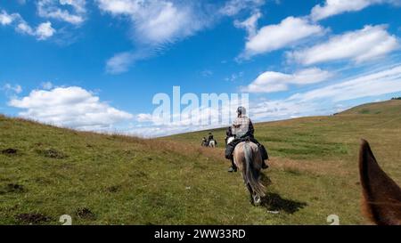 Équitation dans le paysage des carpates Banque D'Images