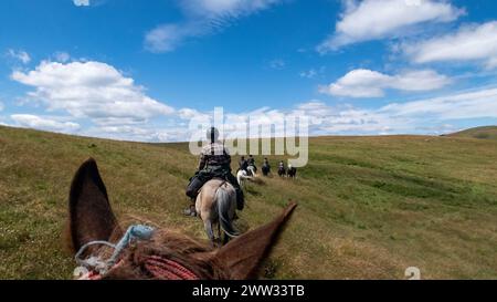 Équitation dans le paysage des carpates Banque D'Images