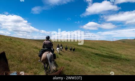 Équitation dans le paysage des carpates Banque D'Images