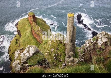 Pipe en basalte, la cheminée gia't, la chaussée des géants, Co. Antrim, Irlande Banque D'Images