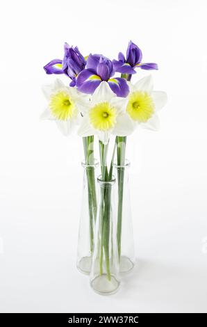 Trois jonquilles et trois iris dans trois vases en verre Banque D'Images