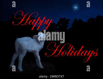 Étoile de Noël brillante dans le ciel nocturne au-dessus d'une lampe de mouton blanc et les mots joyeuses fêtes sur l'image en rouge. Banque D'Images