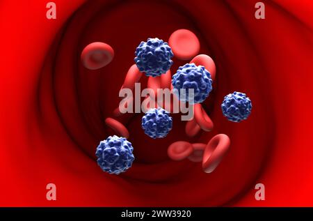 Parvovirus B19 dans l'érythème infectieux - vue en coupe illustration 3D. Banque D'Images