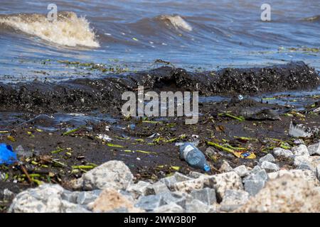 Déchets et eaux polluées, image symbolique de la pollution de l'environnement, Rio de la Plata, Buenos Aires, Argentine Banque D'Images