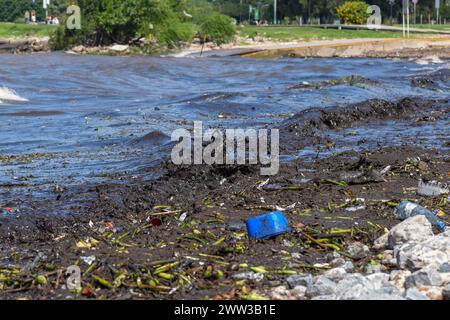 Déchets et eaux polluées, image symbolique de la pollution de l'environnement, Rio de la Plata, Buenos Aires, Argentine Banque D'Images