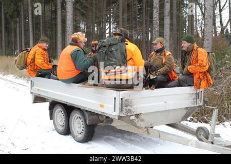 Chasseur de sanglier (sus scrofa) avec gilet haute visibilité sur remorque, Allgaeu, Bavière, Allemagne Banque D'Images