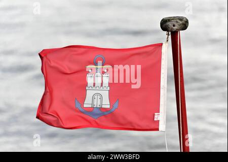 Drapeau rouge avec les armoiries de Hambourg agitant au vent, attaché à un mât de drapeau, Hambourg, ville hanséatique de Hambourg, Allemagne Banque D'Images