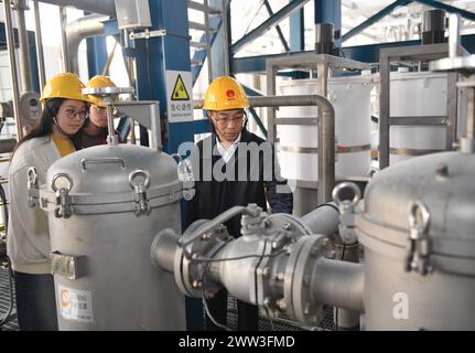 (240321) -- CHENGDU, 21 mars 2024 (Xinhua) -- Song Danrong (R), concepteur en chef de Linglong One, inspecte avec des membres de l'équipe une plate-forme expérimentale pour Linglong One, à l'Institut de l'énergie nucléaire de Chine à Chengdu, dans la province du Sichuan du sud-ouest de la Chine, le 14 mars 2024. La construction de Linglong One dans la province de Hainan s'est bien déroulée. Linglong One est un autre réacteur nucléaire innovant développé par la Chine avec des droits de propriété intellectuelle indépendants, après le réacteur Hualong One. C'est aussi le premier petit réacteur modulaire à eau pressurisée au monde à avoir passé l'International Atomi Banque D'Images