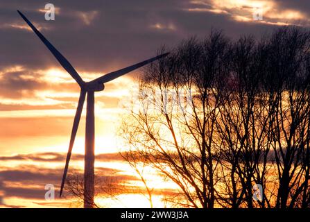 Éoliennes pour la production d'électricité dans un parc éolien à Ketzin, 19.01.16 Banque D'Images